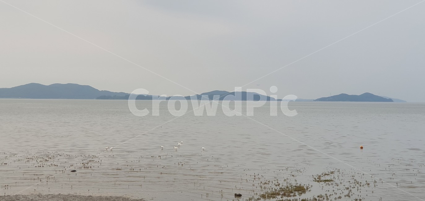 outdoors,land,nature,water,ocean,coast,sea,shoreline,해안,연안,바다,섬,자연,물