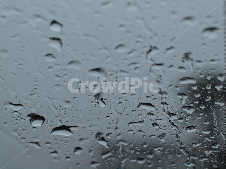 감성,비,물방울,여름,보케,접사,rain,summer,비,비오는날,rain,rainy