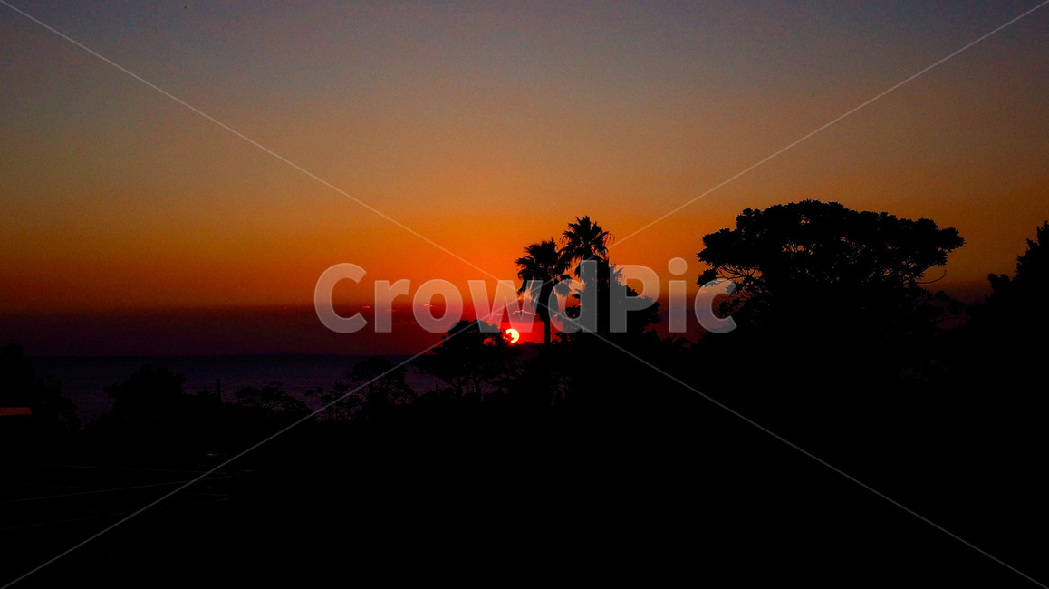 제주도,일몰,풍경,선셋,석양,해변,야자수,jejuisland,sunset,landscape,palmtree,red,자연,풍경,nature,landscape,실루엣,그림자,silhouette,shadow,outdoors,옥외,sky,하늘,dusk,황혼,dawn,새벽,red sky,붉은 하늘