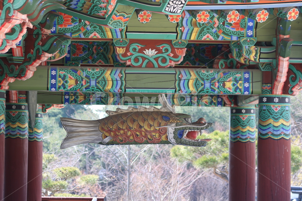 낙산사,어북,한국전통,절,단청,물고기,기둥,감성,관광지,아름다운,조각