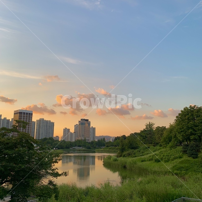 nature,자연,outdoors,옥외,도시와자연,노을,호수,나무,공원노을