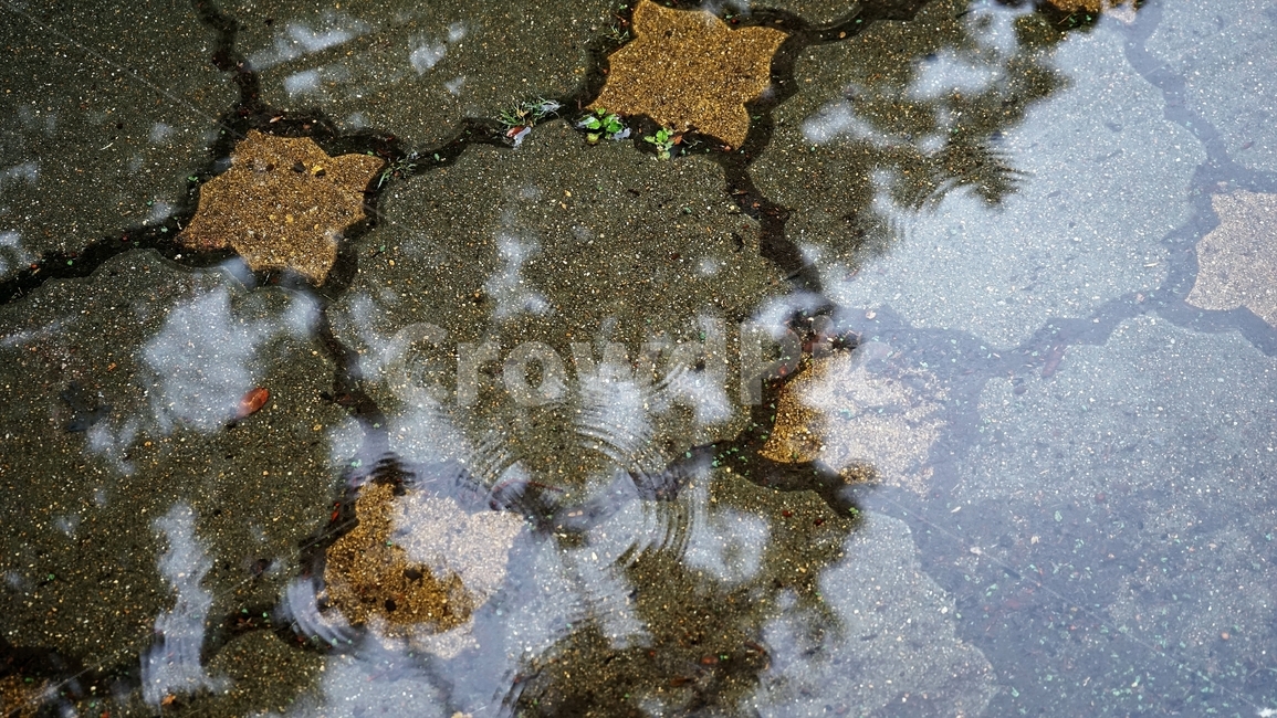 빗물,반사,반영,보도블록,물,raindrops,reflection,shade