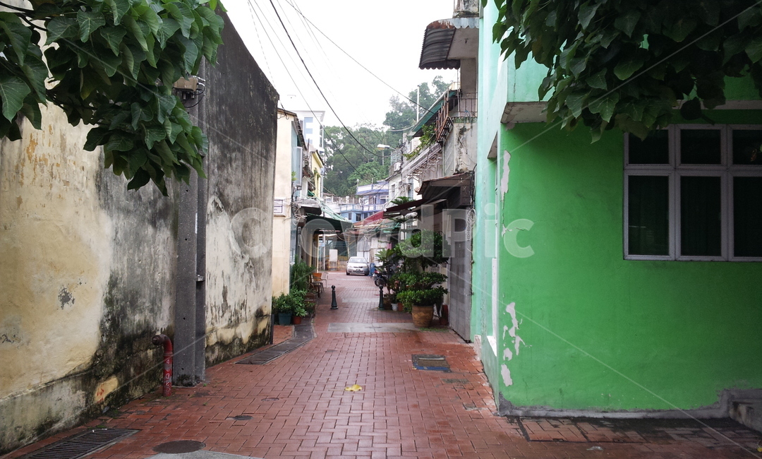 골목,골목길,거리,건물,풍경,초록색,좁은길,골목길,alley,flagstone,판석,walkway,보도,path,통로