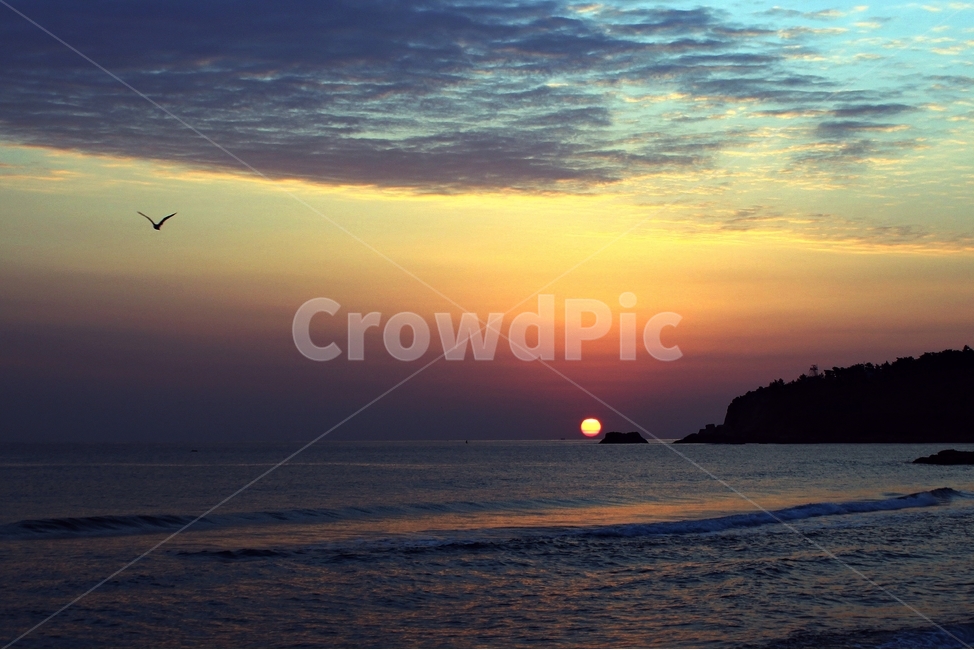 일출,강원도,하조대,태양,새,bird,sun,바다,sea,해변,구름,풍경,landscape,아침,동틀녘,dawn,자연,풍경,nature,landscape,animal,동물
