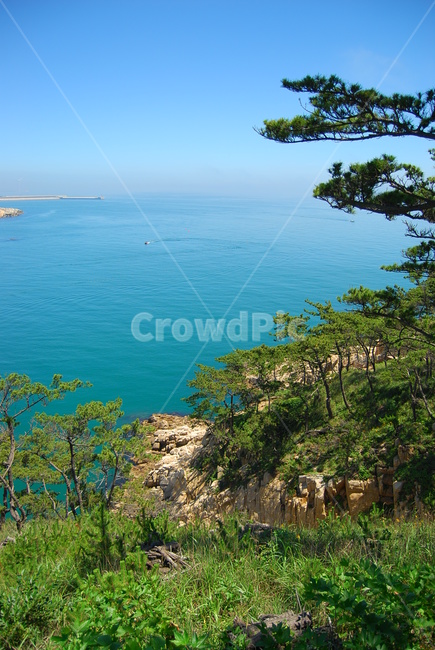 자연,바다,풍경,여름,대왕암,자연,풍경,nature,landscape,한국자연풍경,한국자연경관,korea nature landscape,land,땅,outdoors,옥외,water,물,ocean,대양,sea,shoreline,해안선,coast,연안