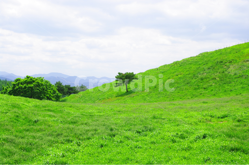 목장,초원,color,풍경,풍광,자연,nature,landscape,하늘,구름,자연,풍경,nature,landscape,식물,plants,나무,trees,wood,field,들,grassland,목초지,outdoors,옥외