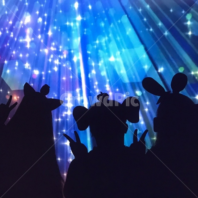 그림자,동물머리띠,놀이동산,그림자놀이,밝은그림자,실루엣,그림자,silhouette,shadow