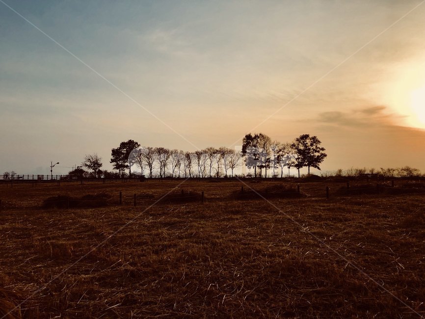 상암동,하늘공원,해질녘,공원,야외,sunset,sky,가을,계절,fall,autumn,season,자연,풍경,nature,landscape,ground,바닥,outdoors,옥외