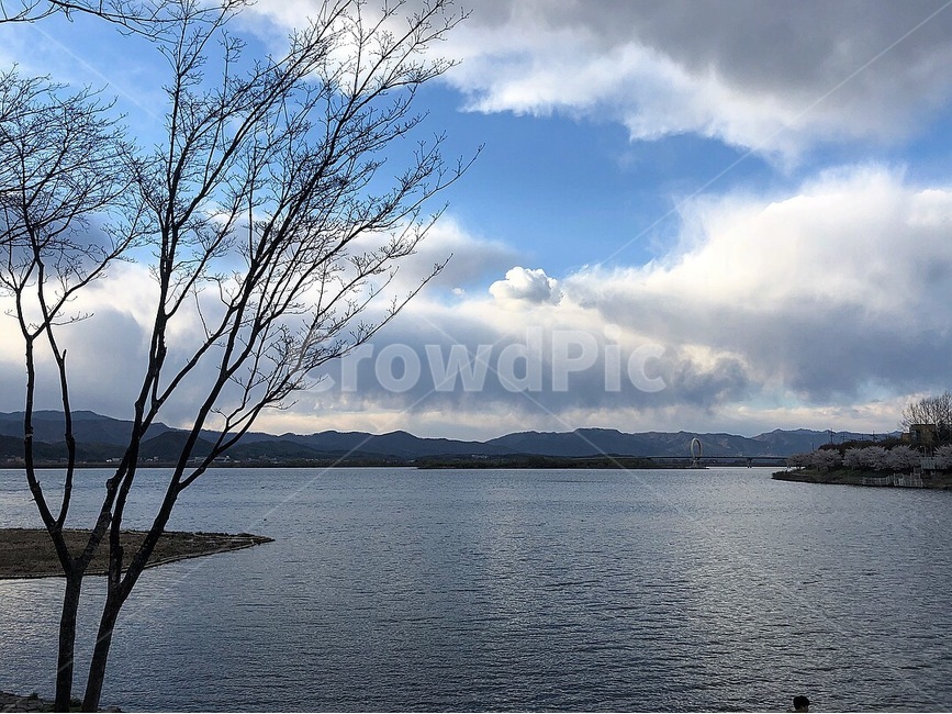 하늘,강,나무,겨울,자연,물,outdoors,water,nature,옥외,자연,풍경,nature,landscape