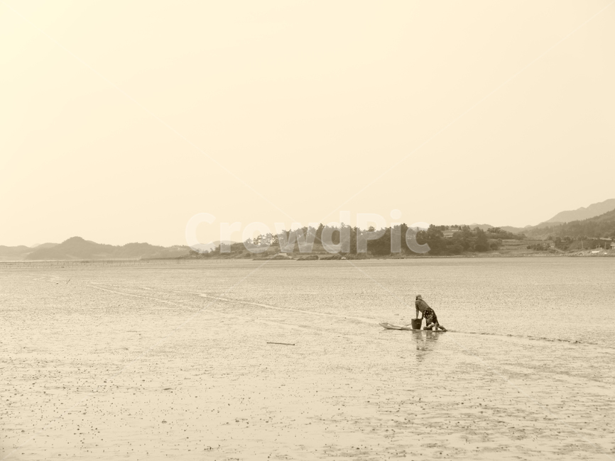 뻘배,갯벌,뻘,간조,어촌,어획,바다,물빠진바다,흑백,모노톤,monochrome,black and white