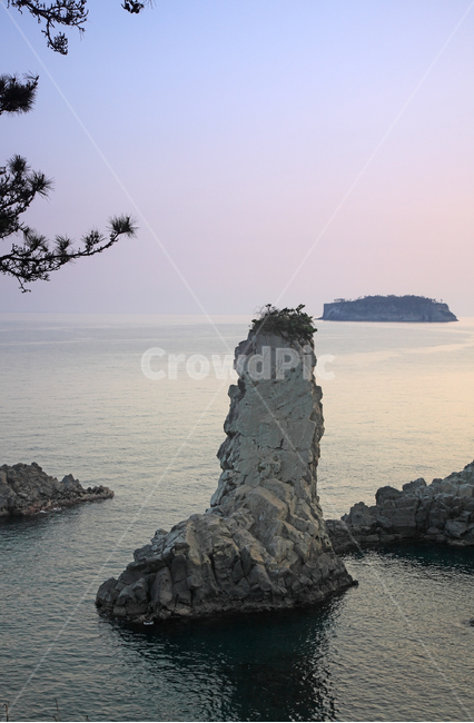 외돌개,외돌게,제주,제주도,명소,바다,바위,섬,바위섬,수평선,풍경,자연,노을,하늘,배경,백그라운드,아름다운,서귀포,한국