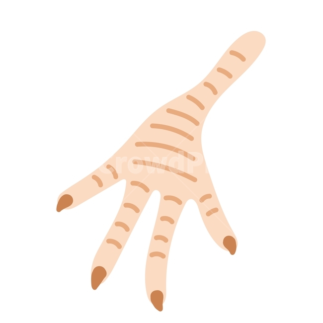 일러스트,닭발,닭발일러스트,콜라겐,닭,조류,그래픽,일러스트레이션,graphic,illustration