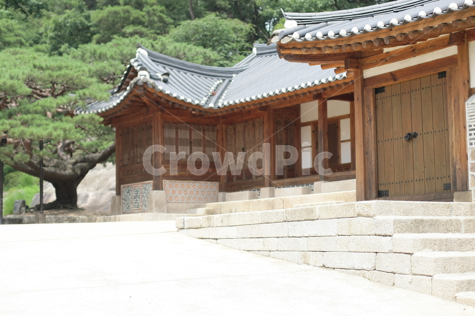궁,나무,한옥,자연,건물,풍경,한국전통,한국문화,korean traditional,korean culture,건축물,건물외관,exterior,building,structure,architecture,construction