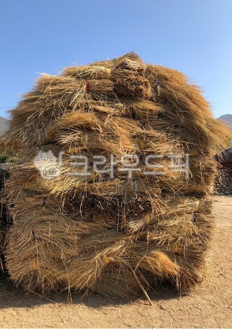짚단,지푸라기,볏단,볏짚,벼짚단