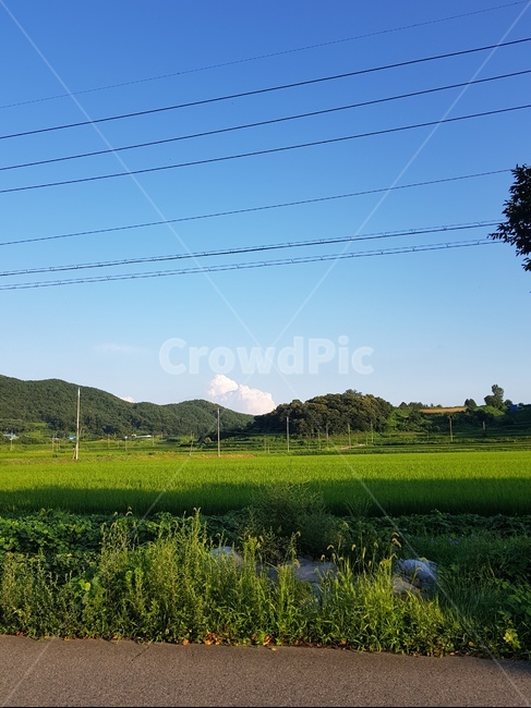 시골,자연,풍경,밝음,초록빛,자연,풍경,nature,landscape,field,들,grassland,목초지,outdoors,옥외