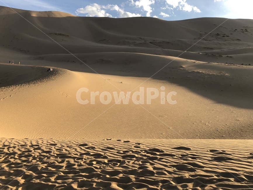 몽골,사막,soil,흙,nature,자연,sand,모래,모래언덕,dune,옥외,outdoors,자연,풍경,nature,landscape,모래 언덕