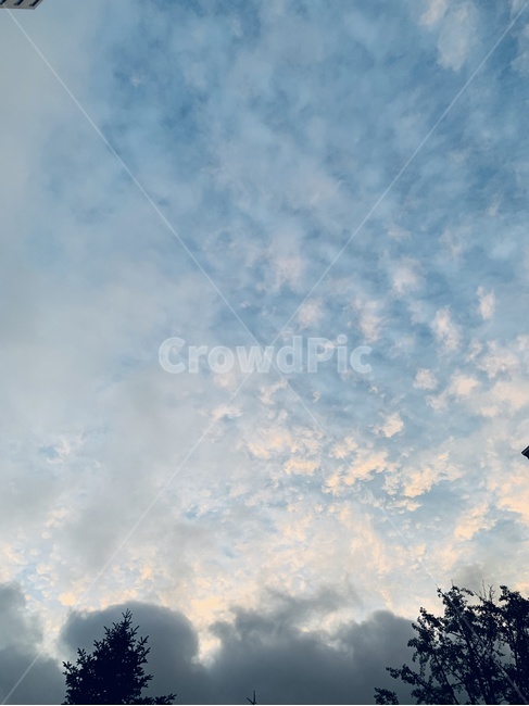 nature,자연,하늘,sky,cloud,구름