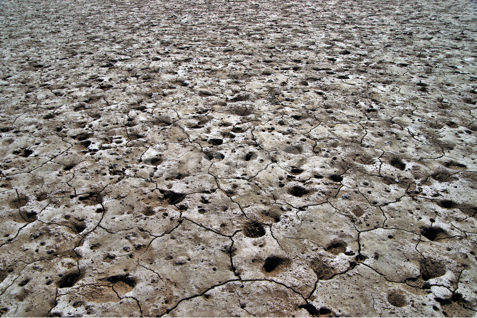 뻘,갯벌,진흙,바다,썰물,자연,자연,풍경,nature,landscape