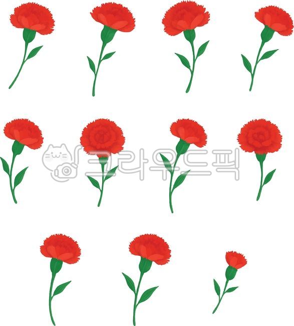 꽃,카네이션,어버이날,스승의날,장식,요소,세트,꽃잎,빨강,빨간꽃,carnation,flower,감사,일러스트,카네이션일러스트,가정의달,5월,illust,may,thankyou,빨간카네이션