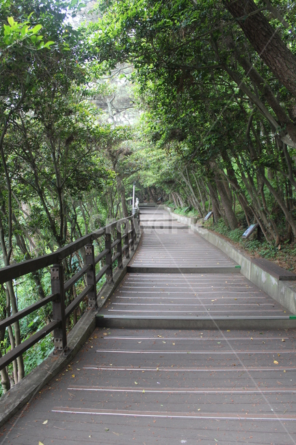 밝은계단,계단,산책로,태종대,수목로,자연,풍경,nature,landscape,boardwalk,building,건물,bridge,다리
