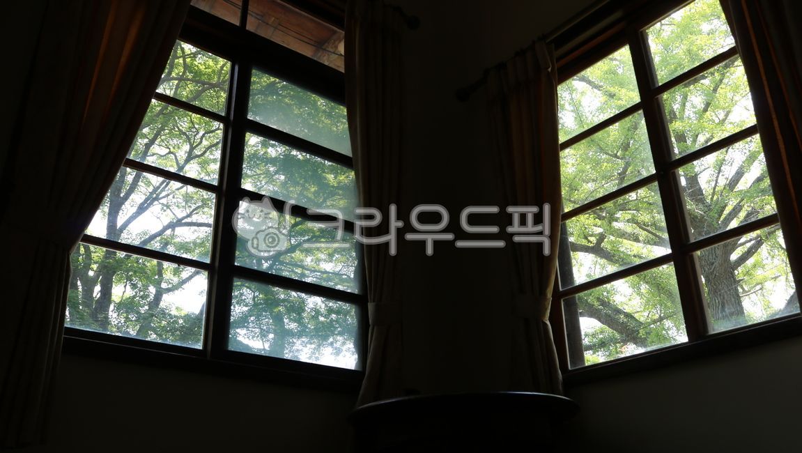 이영춘가옥,문화제,식민지,일제,집,건물,일제건물,일본식,견고함,고풍스러운,안정,window,창문