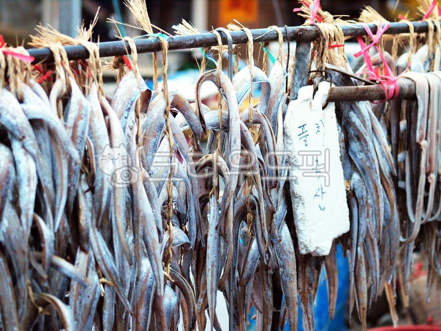 생선,건조,건조과정,어촌,시골,fish,drying,dryingprocess,fishingvillage,ruralarea