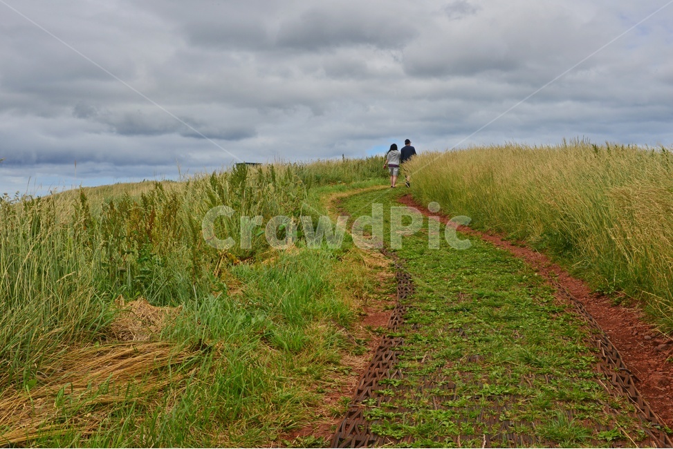 scenery,풍경,outdoors,옥외,landscape,경치,plant,식물,tree,나무,field,들,grassland,목초지,nature,자연,treetrunk,나무줄기,제주도,목장,꽃,오름,제주오름,길,연인,산책,human,인간,person,사람