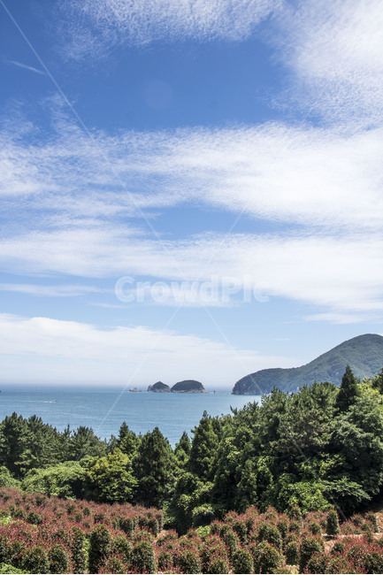 바다,산,하늘,구름,숲,나무,자연,야외,식물,힐링,트리,풍경,경치,배경,백그라운드,여름,자연,풍경,nature,landscape,land,땅,outdoors,옥외,shoreline,해안선,water,물,ocean,대양,sea
