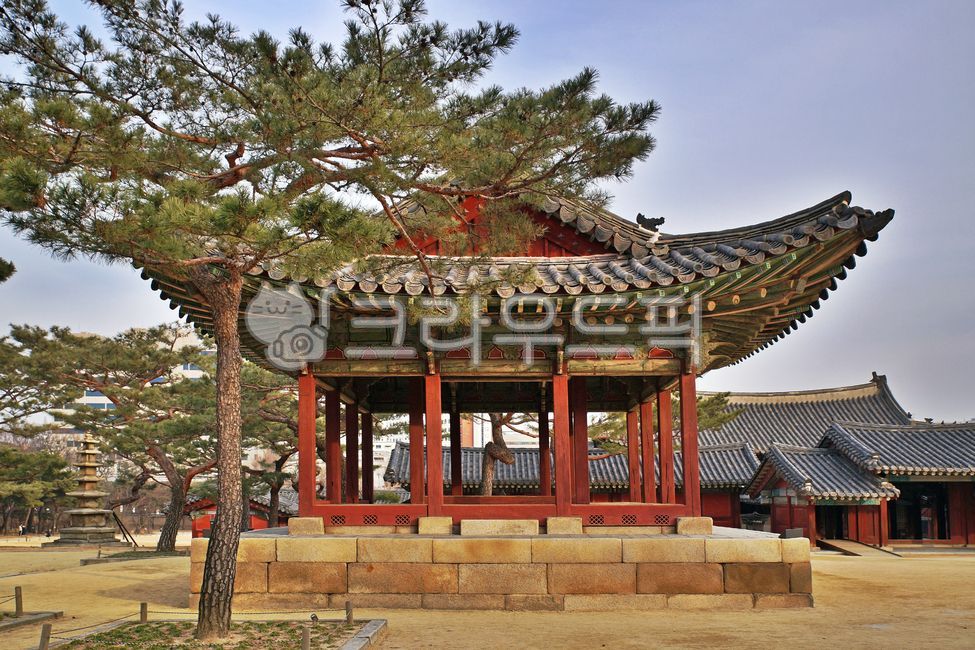 Changgyeonggung Palace,Palace,star sign,Injeong Ham,sperm,old palace,Five Great Palaces