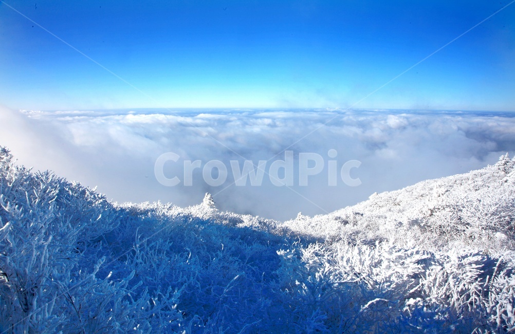 tree,나무,plant,식물,nature,자연,outdoors,옥외,ice,빙,snow,눈,mountain,산,mountainrange,산맥,상고대,무주,덕유산,덕유산설경,설경,설천봉,향적봉,중봉,덕유산국립공원,운해,겨울,계절,winter,season,자연,풍경,nature,landscape