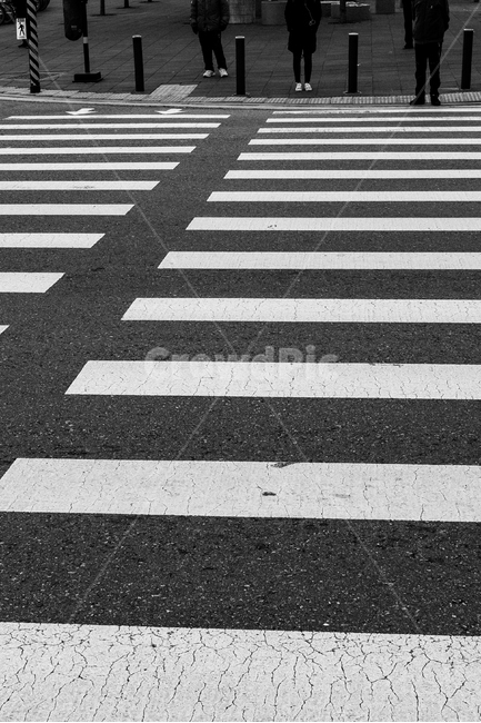 횡단보도,도시,도로,city,crosswalk,asphalt,아스팔트,road