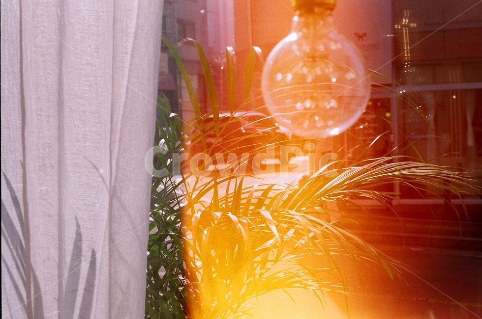 탄필름,필름태우기,필름사진,필름카메라,니콘fm2,감성,filmcamera,filmphotography,nikonfm2,필름번,버닝