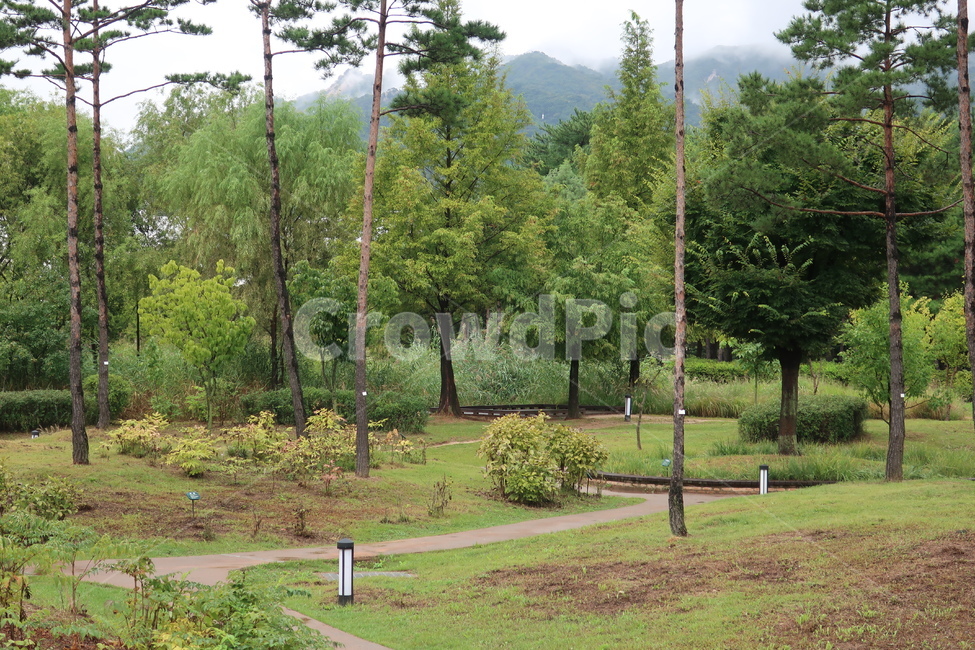 서울,창포원,식물원,도시,공원,습지,조성,숲,산책,산책로,자연,풍경,nature,landscape,plant,식물,grass,잔디,tree,나무