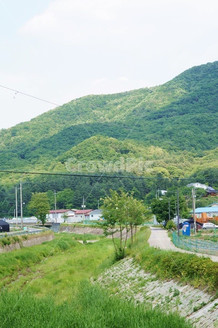 시골,산,시골길,들판,나무,하늘,풍경,녹음,농촌,구름,논경지,농촌풍경,시골풍경,자연,nature,landscape,여름,계절,summer,season,마을,country,ruraltown,시골,마을,풍경,landscape,country,rural,town