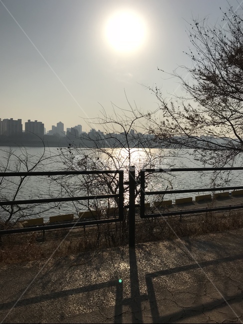 한강,자전거,자전거길,2월,물결,찬란,햇빛,도시,풍경,city,landscape