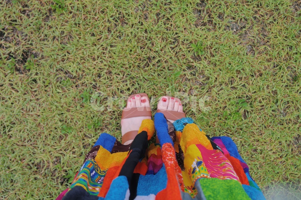 잔디,빈티지,모리걸,강원도,여름,휴가,풀,자연,들판