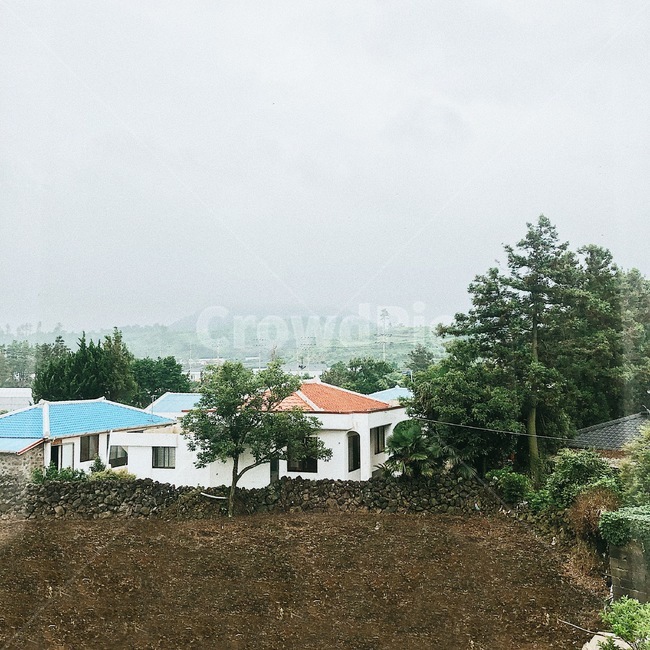 농촌,자연,건물,옥외,제주도,제주,흐림