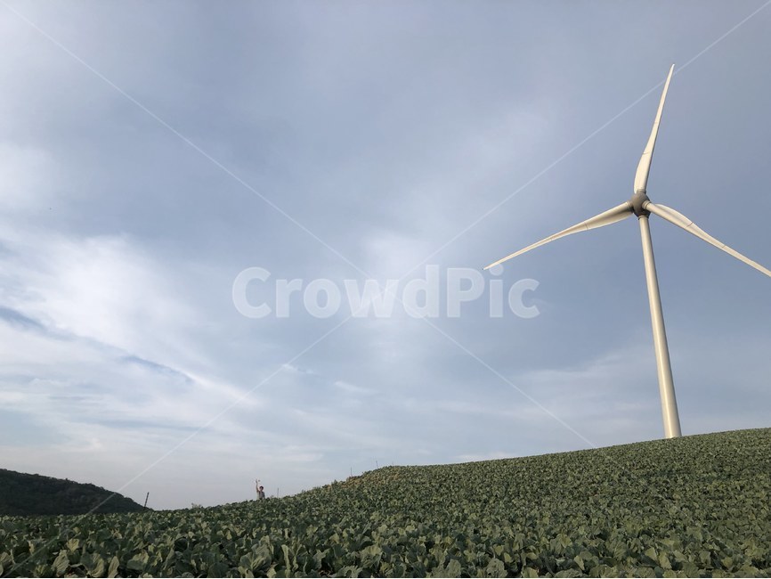 풍력,자연,풍경,구름,하늘,강원도,자연,풍경,nature,landscape,산업,industry,industrial,에너지산업,energy industry,engine,엔진,motor,모터,machine,기계