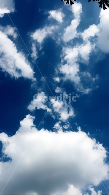 하늘,파란색,나무,구름,여름하늘,뭉게구름,자연,풍경,nature,landscape,outdoors,옥외,azure sky,푸른 하늘,sky