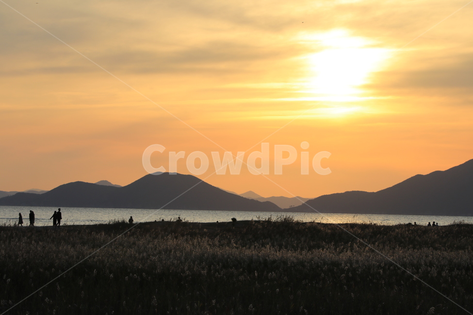일몰,야경,해질녘,태양,노을,역광,자연,풍경,nature,landscape,outdoors,옥외