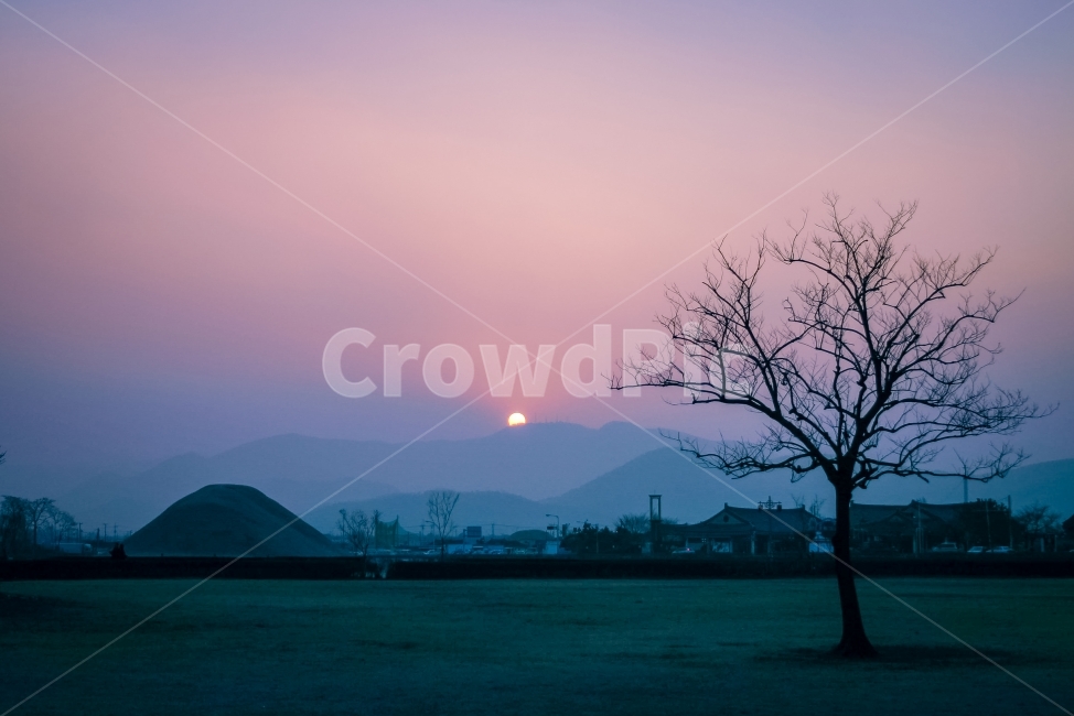 경주,나무,노을,대릉원,풍경,왕릉,GyeongjuCity,theroyalmausoleum,시골,마을,풍경,landscape,country,rural,town,한국전통,한국문화,korean traditional,korean culture,랜드마크,landmark,tourist attraction,한국랜드마크,한국관광지,한국명소,korea landmark,korea tourist attraction,색깔,색상,색채,색감,color sense,color sensitivity,feeling of color