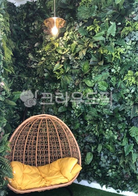 yellow cushion,armchair,chair,interior chair,Balinese style chair