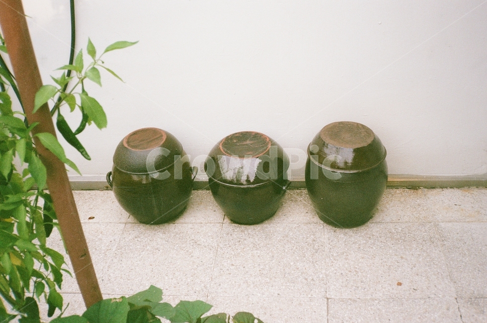 장독대,시골,꼬마장독대,옥상,여름,사물,물건,오브젝트,thing,object,matter