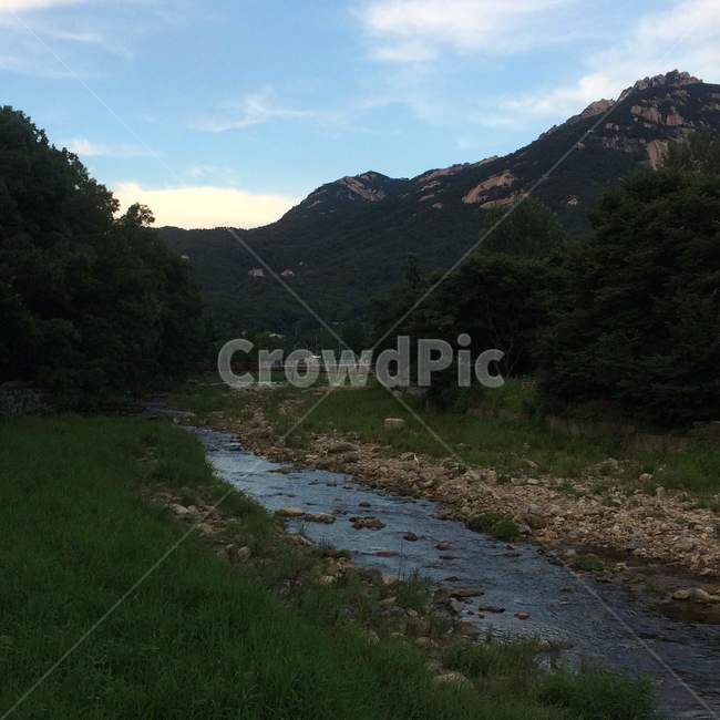 계곡,풍경,여름,물가,산