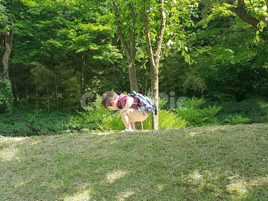 초목,식물,plant,nature,자연,land,tree,나무,woodland,forest,숲,person,사람,human,인간,어린이,산책,숲체험,여름