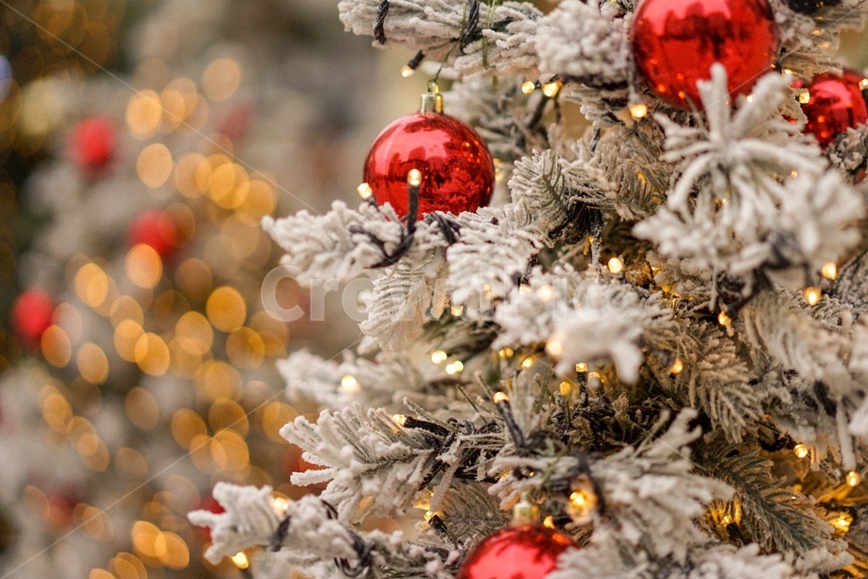 크리스마스,겨울,트리,크리스마스트리,연말,xmas,메리크리스마스,성탄절,merry christmas