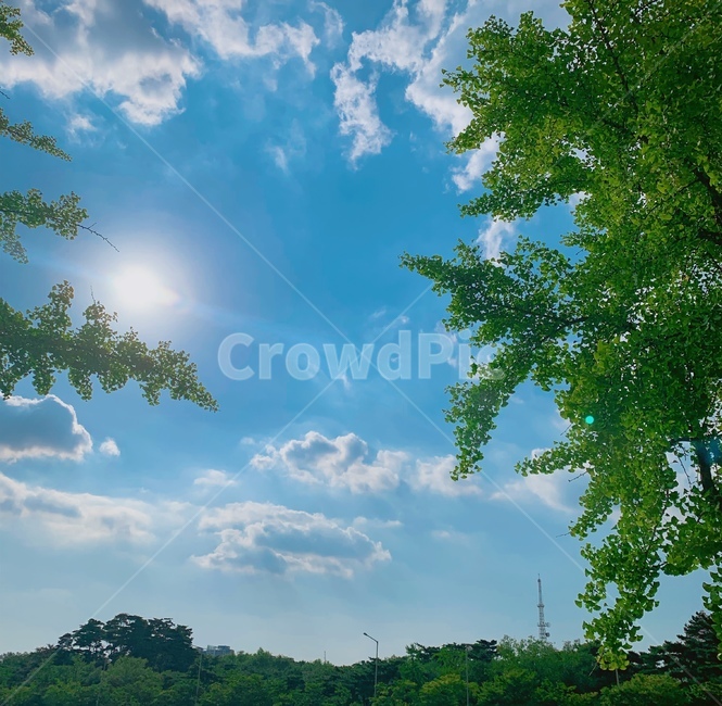 자연,옥외,하늘,구름,햇빛,자연,풍경,nature,landscape,outdoors