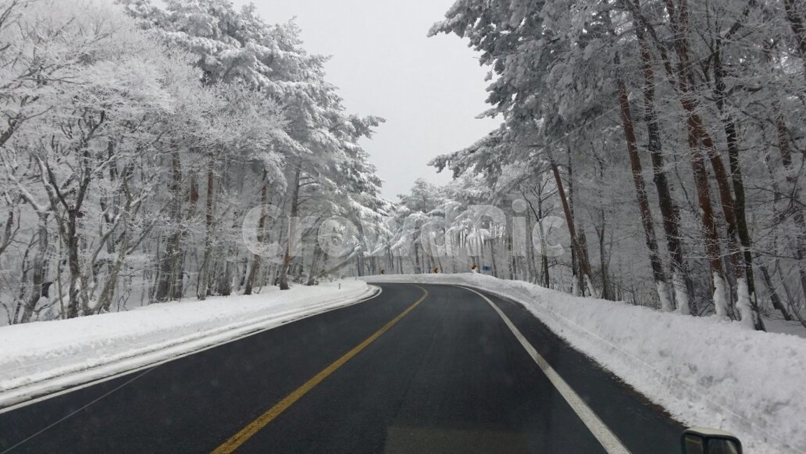 눈,풍경,계절,도로,포장도로,겨울,계절,winter,season