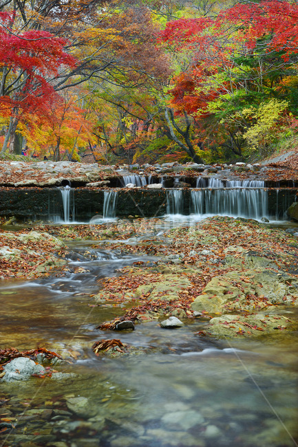 가을,산,폭포,계곡,단풍,자연,물가,나무,가을,계절,fall,autumn,season,자연,풍경,nature,landscape,한국자연풍경,한국자연경관,korea nature landscape,water,물,outdoors,옥외,plant,식물,leaf,잎