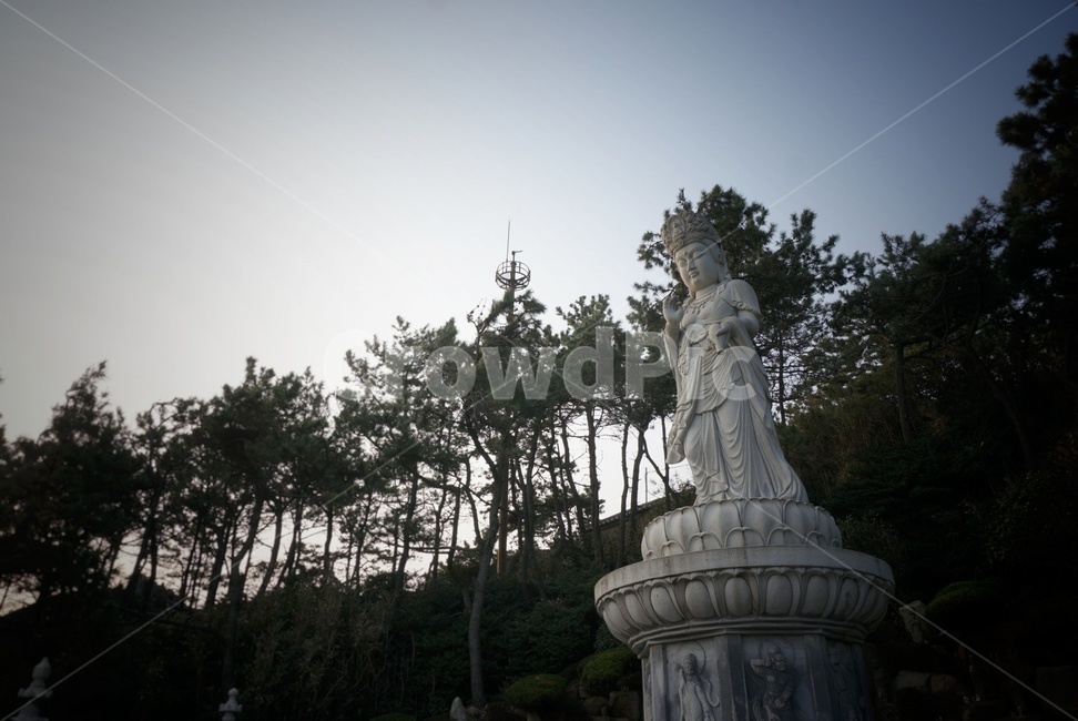 석상,불상,바다,해수관음상,풍경